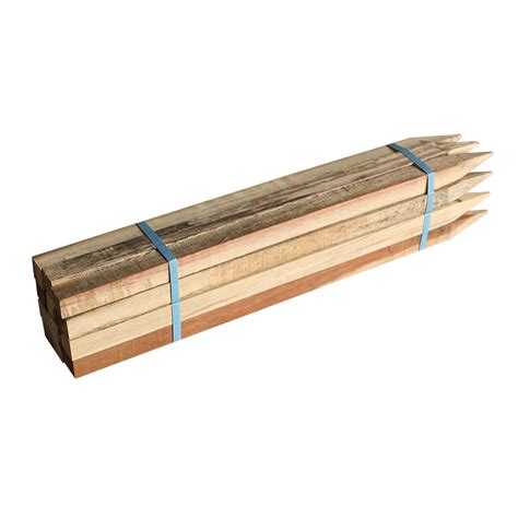 bunnings hardwood stakes|38 mm x 38 mm Hardwood Stakes .
